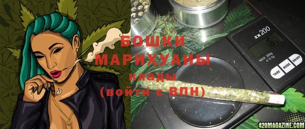 индика Алексеевка