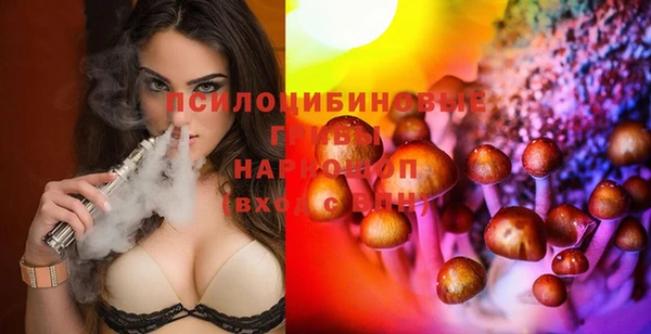 индика Алексеевка
